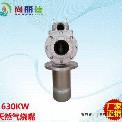 630KW天然氣燒嘴 工業(yè)爐噴** 窯爐燒嘴 節(jié)能環(huán)保 可非標(biāo)定制