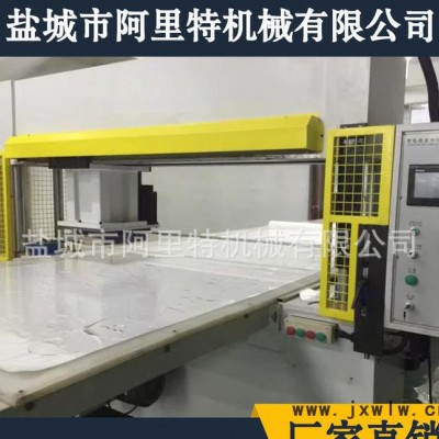 專業(yè)生產(chǎn)全自動面膜裁斷機 質(zhì)量保證 價格優(yōu)惠