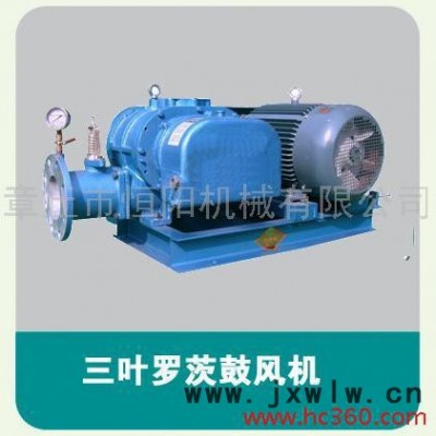 供應(yīng)恒HYSR150專(zhuān)業(yè)生產(chǎn)羅茨風(fēng)機(jī) 生產(chǎn)羅茨風(fēng)機(jī)/三葉羅茨風(fēng)機(jī)/風(fēng)機(jī)/.
