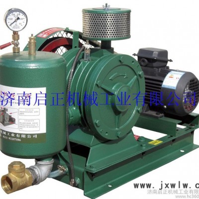 回旋鼓風機 濟南啟正回轉(zhuǎn)風機 小型低噪音回轉(zhuǎn)風機