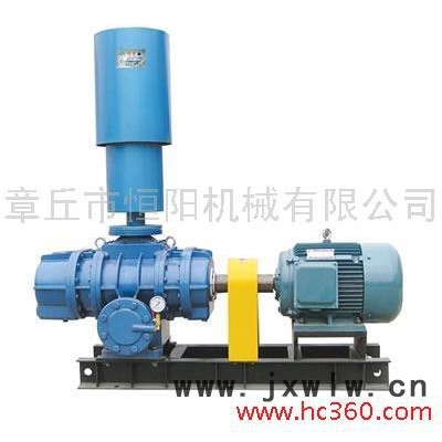 供應(yīng)恒陽(yáng)250羅茨風(fēng)機(jī)/章丘羅茨風(fēng)機(jī)