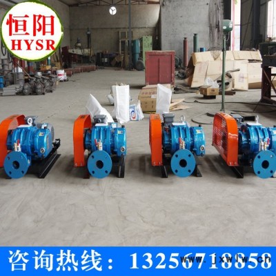 供應(yīng)恒陽(yáng)HYSR50-300羅茨風(fēng)機(jī)/章丘鼓風(fēng)機(jī)/三葉羅茨風(fēng)機(jī)