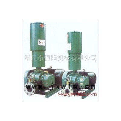 供應(yīng)恒陽(yáng)HYSR250供應(yīng)羅茨鼓風(fēng)機(jī)/羅茨風(fēng)機(jī) 供應(yīng)羅茨鼓風(fēng)機(jī)/三葉羅茨風(fēng)機(jī)