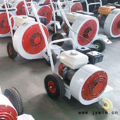 廠家供應(yīng)慶安牌QCF-55/90 汽油吹風(fēng)機(jī)，大功率吹風(fēng)機(jī)，馬路吹風(fēng)機(jī)，手推式吹風(fēng)機(jī)，掃雪機(jī)