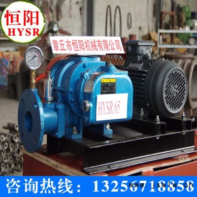 供應(yīng)羅茨風(fēng)機(jī)_1/三葉羅茨風(fēng)機(jī)
