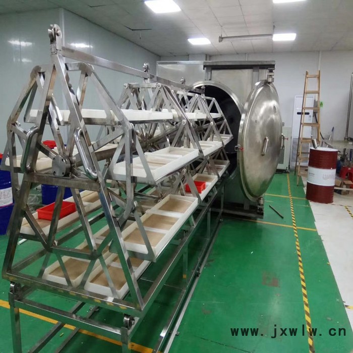 羅漢果真空干燥機(jī) 羅漢果真空干燥設(shè)備 廠(chǎng)家直供 訂購(gòu)微波真空烘干箱