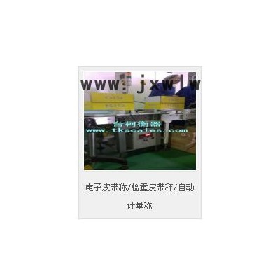 臺(tái)柯衡器 自動(dòng)化電子秤  皮帶秤  電子皮帶稱/檢重皮帶秤/自動(dòng)計(jì)量稱