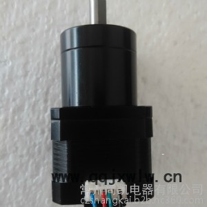 廠(chǎng)家大量供應(yīng)行星直流減速電機(jī) 行星步進(jìn)減速機(jī) 3D打印機(jī)電機(jī) 雕刻機(jī)電機(jī)